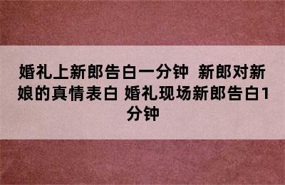 婚礼上新郎告白一分钟  新郎对新娘的真情表白 婚礼现场新郎告白1分钟